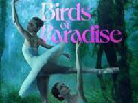 Birds of Paradise (ปักษาสวรรค์)
